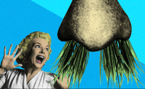 woman screaming at nosehairs